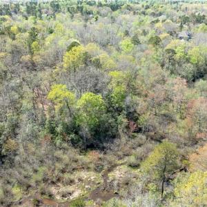 Photo #15 of 3352 Morning Mist Lane, Toano, Virginia 3.1 acres