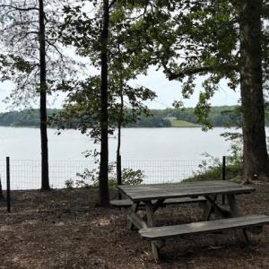 Photo #11 of Lot 24 Rivers Knoll, Heathsville, Virginia 3.5 acres
