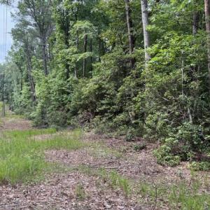 Photo #3 of Lot 24 Rivers Knoll, Heathsville, Virginia 3.5 acres