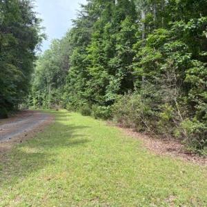 Photo #8 of Lot 24 Rivers Knoll, Heathsville, Virginia 3.5 acres