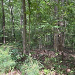 Photo #7 of Lot 23 Rivers Knoll, Heathsville, Virginia 3.5 acres