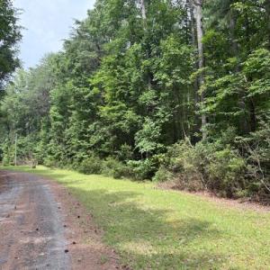 Photo #9 of Lot 23 Rivers Knoll, Heathsville, Virginia 3.5 acres