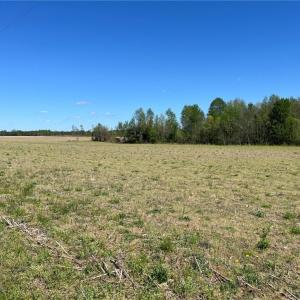 Photo #2 of .953AC Everett Drive, Newsoms, Virginia 1.0 acres