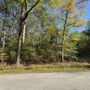 Photo #8 of 2.29 Godfrey Bay Road, Cobbs Creek, Virginia 2.3 acres