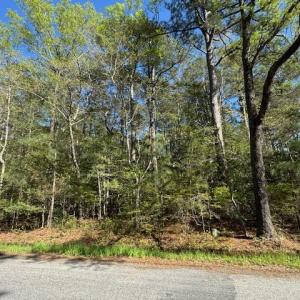 Photo #10 of 2.29 Godfrey Bay Road, Cobbs Creek, Virginia 2.3 acres