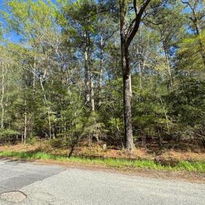 Photo #11 of 2.67 Godfrey Bay Road, Cobbs Creek, Virginia 2.7 acres