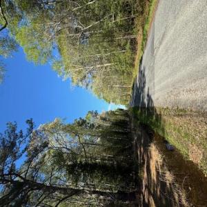 Photo #8 of 2.67 Godfrey Bay Road, Cobbs Creek, Virginia 2.7 acres