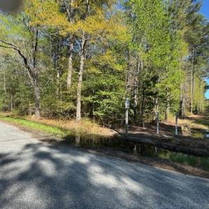 Photo #12 of 2.67 Godfrey Bay Road, Cobbs Creek, Virginia 2.7 acres