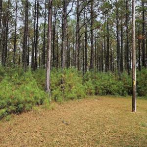 Photo #1 of 3.44ac Carsley Road, Waverly, Virginia 3.4 acres