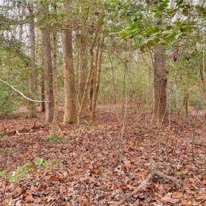 Photo #11 of Lot A Lonesome Pine Trail, Lancaster, Virginia 1.2 acres