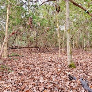 Photo #14 of Lot A Lonesome Pine Trail, Lancaster, Virginia 1.2 acres