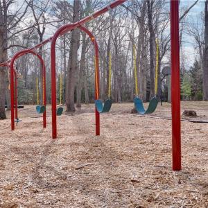 Photo #21 of Lot A Lonesome Pine Trail, Lancaster, Virginia 1.2 acres