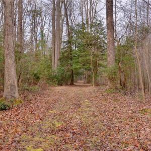 Photo #9 of Lot A Lonesome Pine Trail, Lancaster, Virginia 1.2 acres