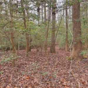 Photo #13 of Lot B Lonesome Pine Trail, Lancaster, Virginia 1.1 acres