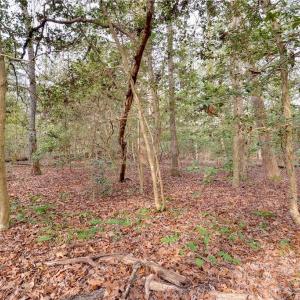 Photo #15 of Lot B Lonesome Pine Trail, Lancaster, Virginia 1.1 acres