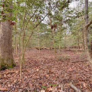 Photo #16 of Lot B Lonesome Pine Trail, Lancaster, Virginia 1.1 acres