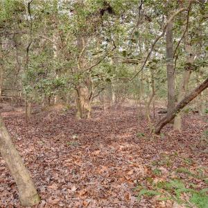 Photo #17 of Lot B Lonesome Pine Trail, Lancaster, Virginia 1.1 acres