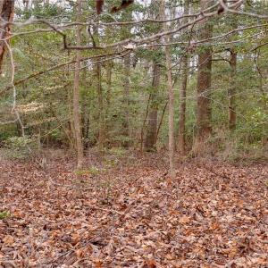 Photo #10 of Lot B Lonesome Pine Trail, Lancaster, Virginia 1.1 acres