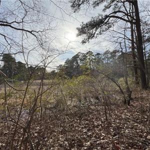 Marsh views