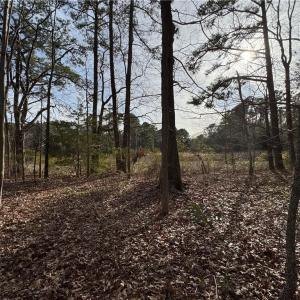 Photo #5 of 6 AC Broad Marsh Lane, Hayes, Virginia 6.0 acres