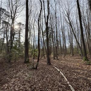 Photo #6 of 6 AC Broad Marsh Lane, Hayes, Virginia 6.0 acres