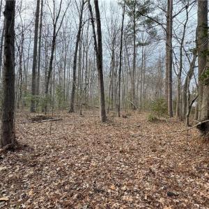 Photo #7 of 6 AC Broad Marsh Lane, Hayes, Virginia 6.0 acres