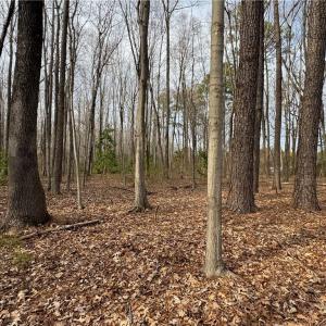 Photo #8 of 6 AC Broad Marsh Lane, Hayes, Virginia 6.0 acres
