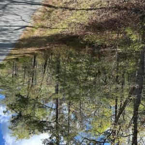 Photo #1 of Briery Swamp Road, Jamaica, Virginia