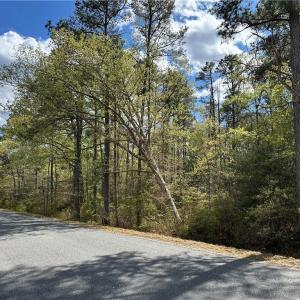 Photo #4 of Briery Swamp Road, Jamaica, Virginia 1.0 acres