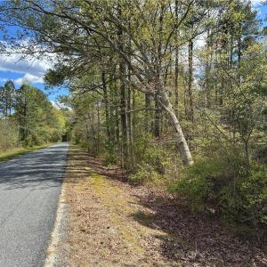 Photo #3 of Briery Swamp Road, Jamaica, Virginia 1.0 acres