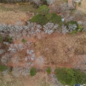 Photo #11 of 2361 Number Ten Lane, Chesapeake, Virginia 4.2 acres