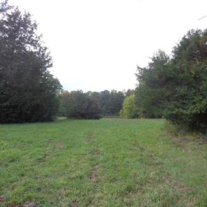 LOT JUST WAITING FOR DEVELOPER WITH VISION