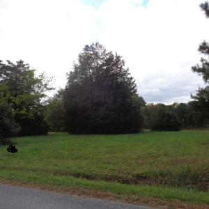 LOT FRONTAGE TO PAVED ROAD. PARTIALLY CLEARED LOT