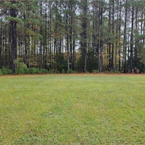 Photo #1 of 4858 Carsley Road, Waverly, Virginia 3.1 acres