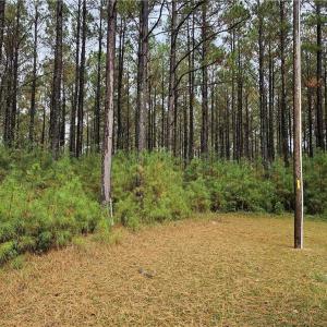 Photo #3 of 4858 Carsley Road, Waverly, Virginia 3.1 acres