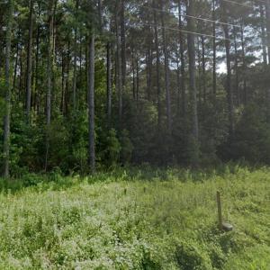 Photo #6 of 4858 Carsley Road, Waverly, Virginia 3.1 acres