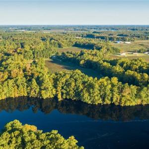 Photo #4 of 2285 KINGS FORK Road, Suffolk, Virginia 4.6 acres