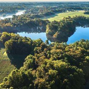 Photo #6 of 2285 KINGS FORK Road, Suffolk, Virginia 4.6 acres