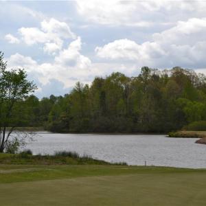 Photo #3 of 10 Poindexter Court, Williamsburg, Virginia 0.7 acres