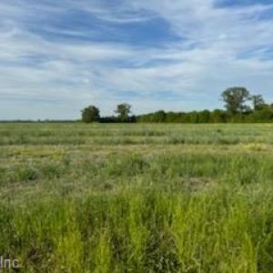 Photo #3 of Lot B Highway 343 North, South Mills, North Carolina 10.0 acres