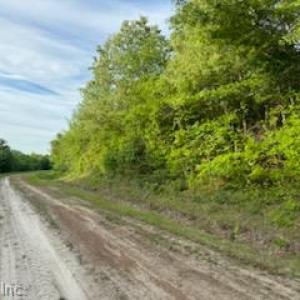 Photo #5 of Lot C South Road, South Mills, North Carolina 10.0 acres