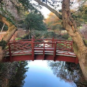 Colonial Williamsburg