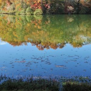Waters Edge on College Creek