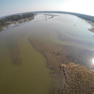 Photo #4 of 1850 John Tyler Highway, Williamsburg, Virginia 46.0 acres