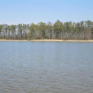 Photo #6 of 1850 John Tyler Highway, Williamsburg, Virginia 46.0 acres