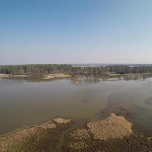 Photo #8 of 1850 John Tyler Highway, Williamsburg, Virginia 46.0 acres