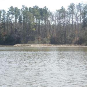 Photo #4 of 1850 John Tyler Highway, Williamsburg, Virginia 46.0 acres