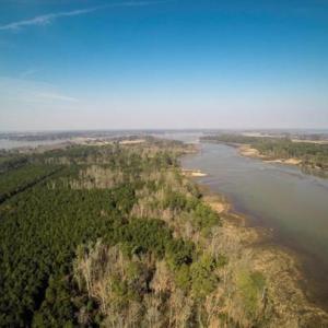 Photo #5 of 1850 John Tyler Highway, Williamsburg, Virginia 46.0 acres