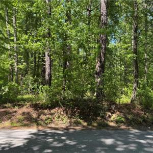 Photo #3 of Lot 80 Pughsville Road, Suffolk, Virginia 0.2 acres