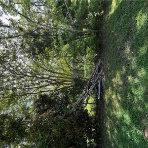Photo #3 of 105 Prentiss Lane, Hampton, Virginia 0.5 acres